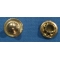 Brass Rivet  (Discontinued)