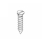 Special 1011/12 screw 12mm