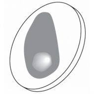 Mother of Pearl disc midial (Obsolete) Mother of Pearl disc midial (Obsolete)